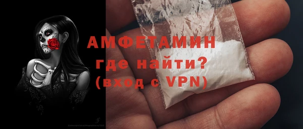 твердый Бородино