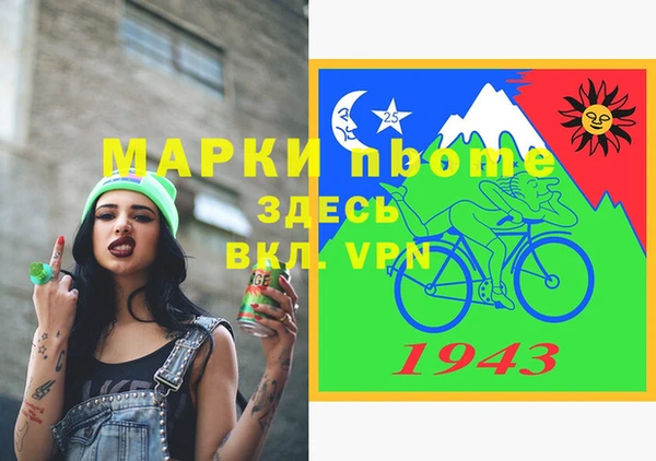 твердый Бородино