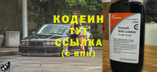 твердый Бородино