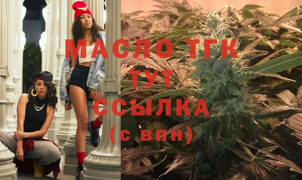 твердый Бородино