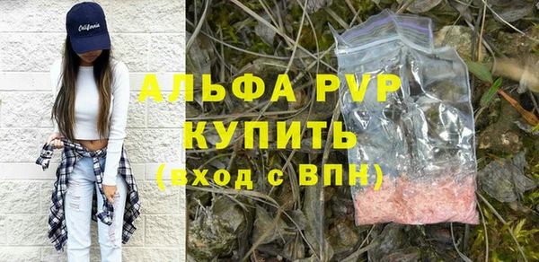 твердый Бородино
