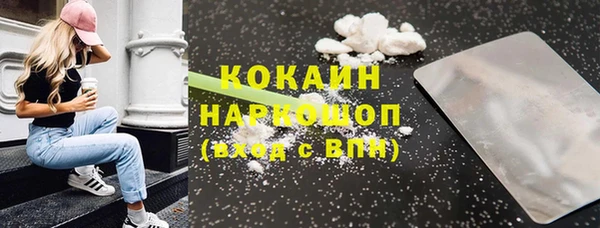 твердый Бородино