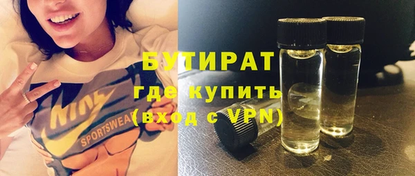 твердый Бородино
