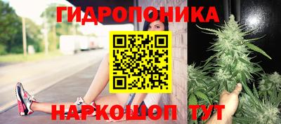 а пвп мука Владимир