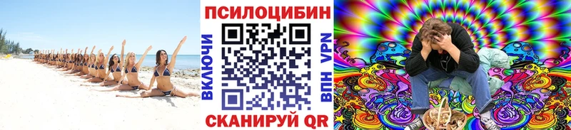 где можно купить наркотик  Выборг  Псилоцибиновые грибы MAGIC MUSHROOMS 