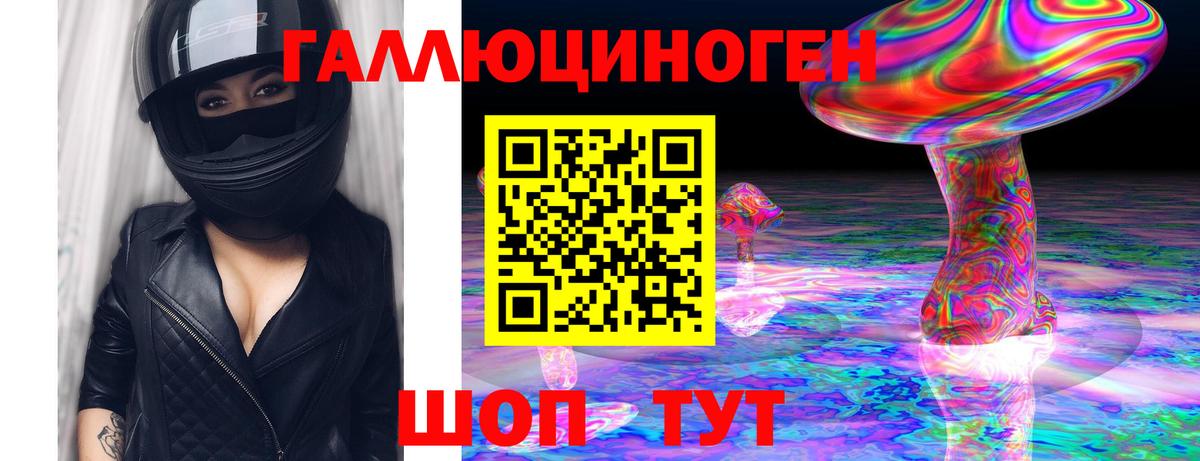 Псилоцибиновые грибы Psilocybe Выборг