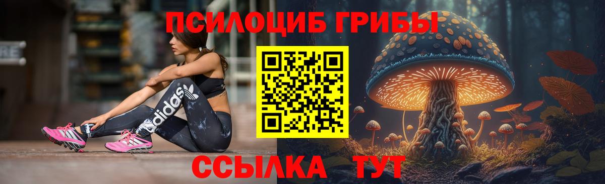Галлюциногенные грибы GOLDEN TEACHER  Вход с VPN  Выборг  Псилоцибиновые грибы ЛСД 