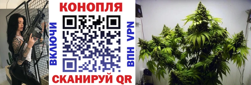 Каннабис OG Kush  Выборг 